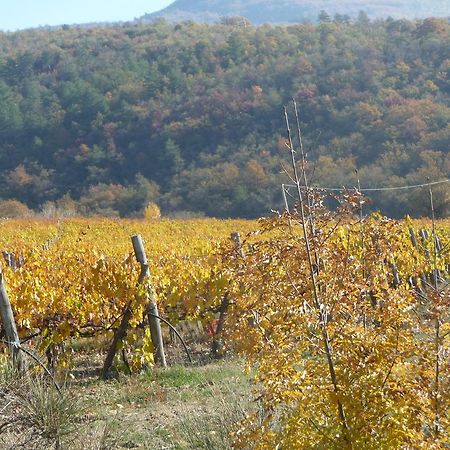 Podere Poggio Mendico Arezzo Extérieur photo