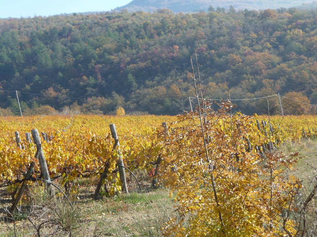 Podere Poggio Mendico Arezzo Extérieur photo